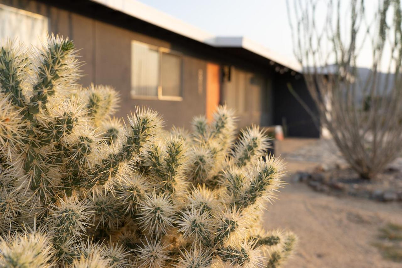 El Paseo Cute Mid-Century Home Twentynine Palms Exterior photo